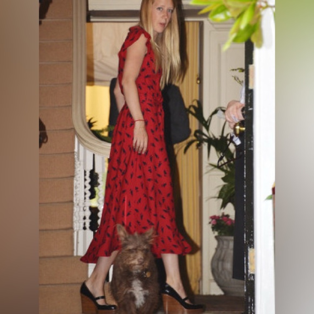 Band Of Outsiders Red Black Silk Bunny Rabbit Print Shirtdress Sz S - Picture 5 of 16